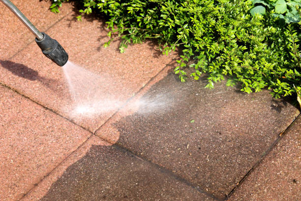 Best Exterior Home Cleaning  in Dock Junction, GA